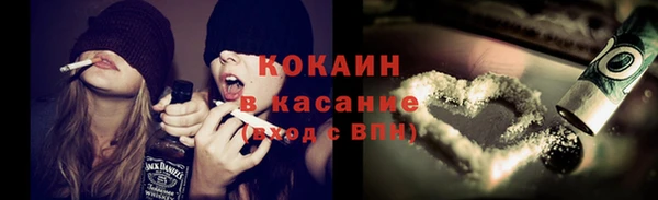 соль ск Абаза
