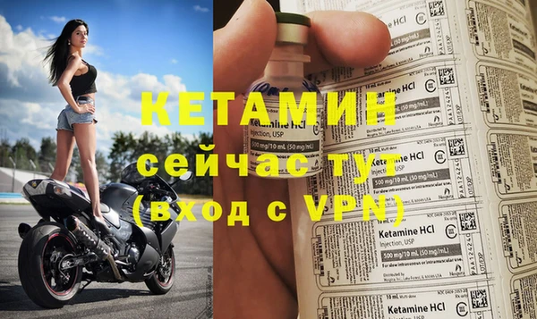 сатива Пролетарск